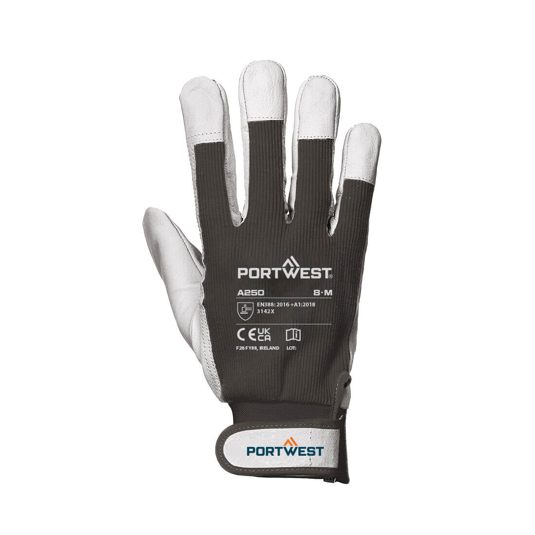 Tergsus Glove - Image 2